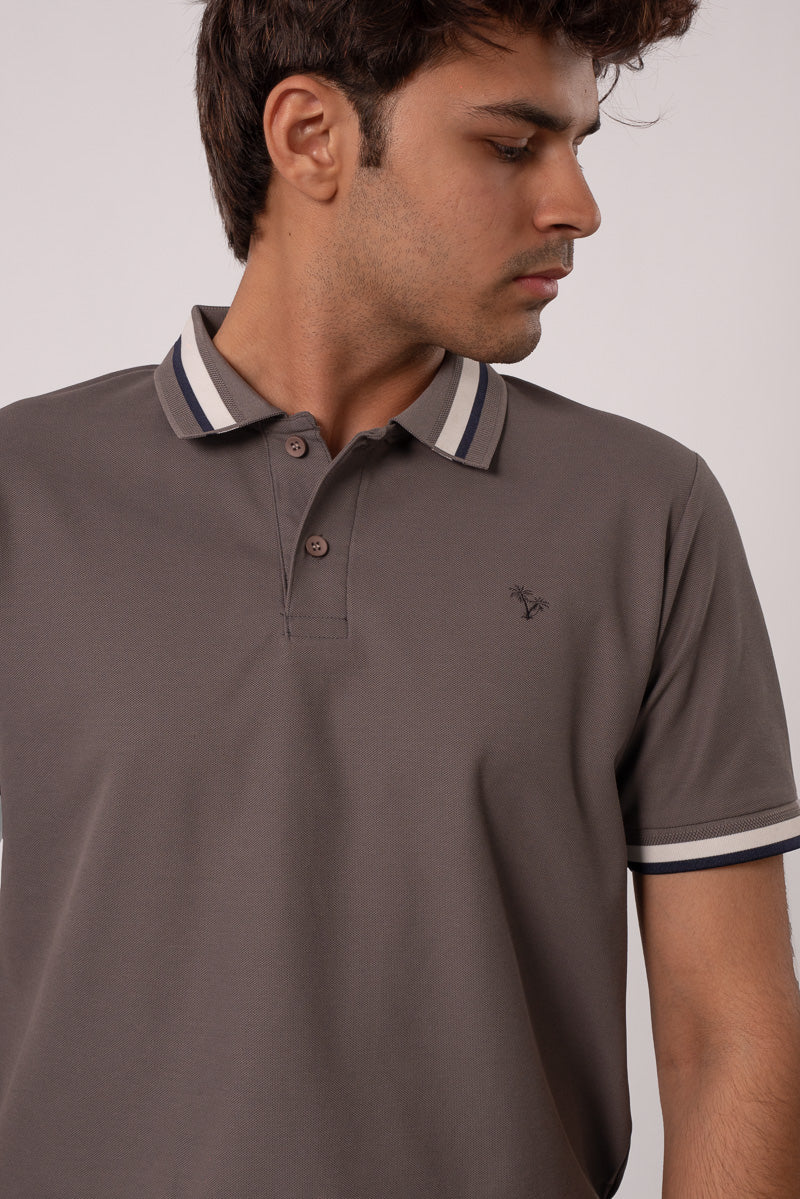 AshStripe POLO
