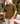 Olive Wave Classic Shirt