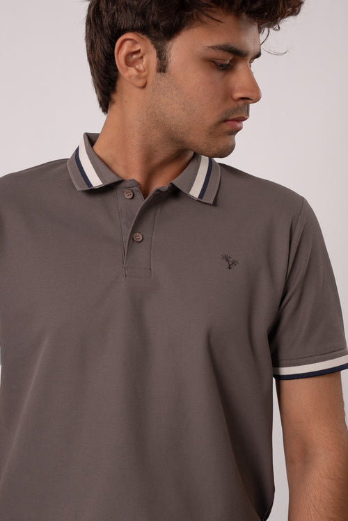 AshStripe POLO