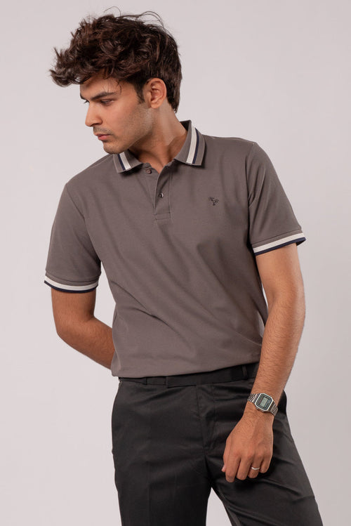AshStripe POLO